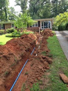 sewer line invasion home