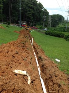 sewer line invasion laying